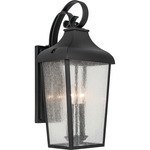 Forestdale Outdoor Wall Sconce - Textured Black / Clear Seeded