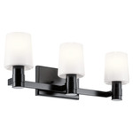 Adani Bathroom Vanity Light - Black / Opal