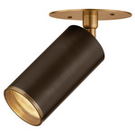 Caleb Ceiling Light - Patina Brass/ Bronze / Clear