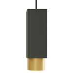 Extra Pendant - Satin Graphite Outer Shade & Canopy / Satin Brass