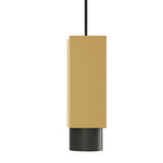 Extra Pendant - Satin Brass Outer Shade & Canopy / Satin Graphite
