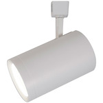 H-Type Atlas TruColor™ RGBTW 120V Track Head - Cool White