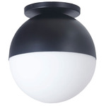 Dayana Ceiling Light Fixture - Matte Black / White