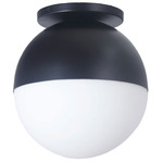 Dayana Ceiling Light - Matte Black / Opal White
