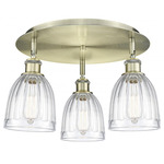 Brookfield Multi Light Ceiling Light - Antique Brass / Clear