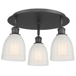 Brookfield Multi Light Ceiling Light - Matte Black / White