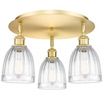 Brookfield Multi Light Ceiling Light - Satin Gold / Clear