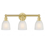Brookfield Round Canopy Bathroom Vanity Light - Satin Gold / White