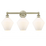 Cindyrella Medium Bathroom Vanity Light - Antique Brass / Matte White