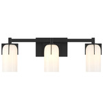 Caldwell Bathroom Vanity Light - Matte Black / Opal