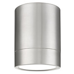 Algar Spot Color-Select Ceiling Flush Light - Brushed Nickel / Frosted
