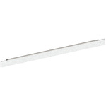Lithe Wall Light - Natural Anodized