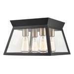 Lucian Ceiling Light - Black / Brass / Clear