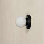 Orb Outdoor Surface Mount - Black / White Glass