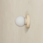 Orb Outdoor Surface Mount - Bone / White Glass