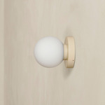 Orb Outdoor Surface Mount - Bone / White Glass