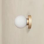Orb Outdoor Surface Mount - Brass / White Glass
