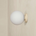 Orb Outdoor Surface Mount - Bone / White Glass