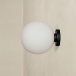 Orb Outdoor Surface Mount - Black / White Glass