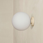 Orb Outdoor Surface Mount - Bone / White Glass