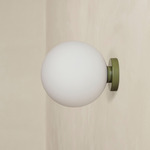 Orb Outdoor Surface Mount - Reed Green / White Glass