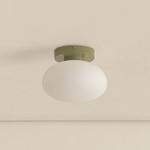 Mushroom Outdoor Surface Mount - Reed Green / White Glass