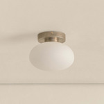 Mushroom Outdoor Surface Mount - Pewter / White Glass