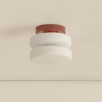Puck Outdoor Surface Mount - Oxide Red / White Glass