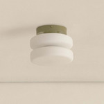 Puck Outdoor Surface Mount - Reed Green / White Glass
