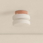 Puck Outdoor Surface Mount - Peach / White Glass