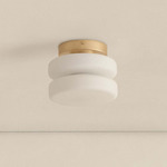 Puck Outdoor Surface Mount - Brass / White Glass