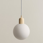 Orb Outdoor Pendant - Bone / White Glass