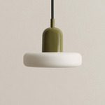 Puck Outdoor Pendant - Reed Green / White Glass