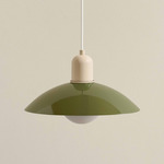 Arundel Orb Outdoor Pendant - Bone / Reed Green Shade