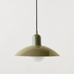 Arundel Orb Outdoor Pendant - Reed Green / Reed Green Shade