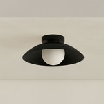 Arundel Orb Outdoor Surface Mount - Black Canopy / Black Shade