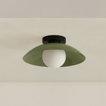 Arundel Orb Outdoor Surface Mount - Black Canopy / Reed Green Shade