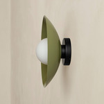 Arundel Orb Outdoor Surface Mount - Black Canopy / Reed Green Shade