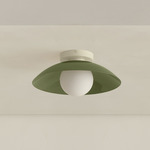 Arundel Orb Outdoor Surface Mount - Bone Canopy / Reed Green Shade