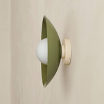 Arundel Orb Outdoor Surface Mount - Bone Canopy / Reed Green Shade