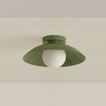 Arundel Orb Outdoor Surface Mount - Reed Green Canopy / Reed Green Shade