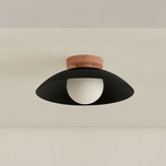 Arundel Orb Outdoor Surface Mount - Peach Canopy / Black Shade