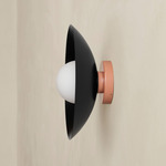 Arundel Orb Outdoor Surface Mount - Peach Canopy / Black Shade