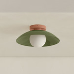 Arundel Orb Outdoor Surface Mount - Peach Canopy / Reed Green Shade