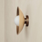 Brass Arundel Orb Outdoor Surface Mount - Patina Brass Canopy / Brass Shade