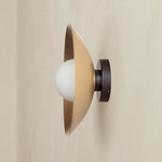 Brass Arundel Orb Outdoor Surface Mount - Blackened Brass Canopy / Brass Shade