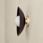 Brass Arundel Orb Outdoor Surface Mount - Brass Canopy / Blackened Brass Shade