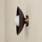 Brass Arundel Orb Outdoor Surface Mount - Patina Brass Canopy / Blackened Brass Shade