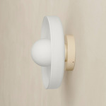 Disc Orb Outdoor Surface Mount - Bone Canopy / Opaline