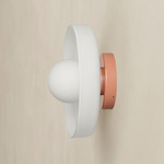 Disc Orb Outdoor Surface Mount - Peach Canopy / Opaline
